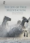 The Joy of True Meditation: Words of Encouragement for Tired Minds and Wild Hearts