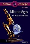 The World as It Is / Micromegas / Jeannot and Colin