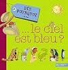 Dis pourquoi... le ciel est bleu ?