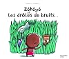 ZEKEYE ET LES DR&Ocirc;LES DE BRUITS DANS LA NUIT