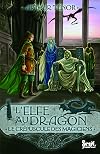 L'elfe au dragon, Tome 6 : Le crépuscule des Magiciens