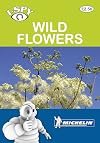 I-Spy Wild Flowers