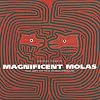 Magnificent Molas: The Art of the Kuna Indians