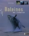 Dauphins en libertΓ©