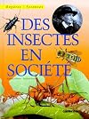 Des insectes en sociΓ©tΓ©