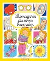 L'imagerie du corps humain