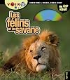 Les félins et la savane : 6-9 ans (1DVD)