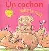 Un cochon dans la nuit