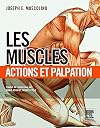 Les muscles : action et palpation