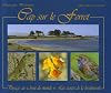 Cap Sur le Ferret