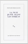 La nuit juste avant les forêts