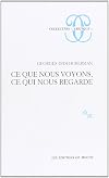 Ce que nous voyons, ce qui nous regarde