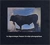 La Daguerréotype français. Un objet photographique