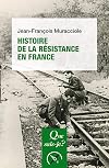 Histoire de la R&eacute;sistance en France