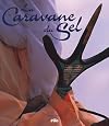 La Caravane du Sel