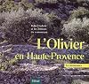 L'olivier en Haute-Provence