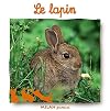 Lapin (MIL.DOC.N.LECT.)