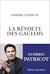 La Révolte des gaulois