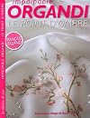 "impalpable Organdi ; le point d'ombre"