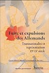 Fuite et expulsions des Allemands. Transnationalité et représentations, 19e-21e siècle