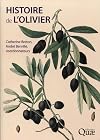 Histoire de l'olivier l'arbre des temps