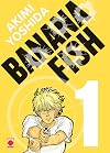 Banana Fish Perfect Edition T01 (MANGA SEINEN) (French Edition)