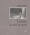 Vienne avant la nuit
