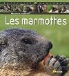 Marmotte (Les)
