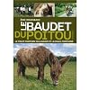 Le baudet du Poitou, le Trait poitevin mulassier et la Mule poitevine