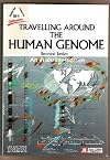 Travelling around the human genome : an in situ investigation