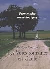Les Voies romaines en Gaule