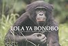 Lola ya bonobo : Le paradis des bonobos - République Démocratique du Congo