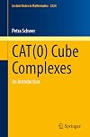 CAT(0) Cube Complexes: An Introduction (Lecture Notes in Mathematics, 2324)