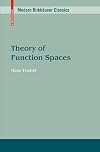 Theory of Function Spaces III