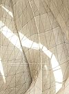 Embodied Light