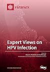 Expert Views on HPV Infection
