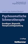 Psychosomatische Schmerztherapie: Grundlagen, Diagnostik, Therapie Und Begutachtung (Psychosomatik Und Integrative Psychotherapie) (German Edition)