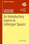 An Introductory Course in Lebesgue Spaces