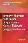Resource allocation with carrier aggregation in cellular networks : optimality and spectrum sharing using C and Matlab