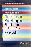 Challenges in Modelling and Simulation of Shale Gas Reservoirs