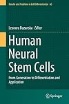 Human Neural Stem Cells From Generation to Differentiation and Application