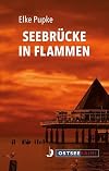 Seebrücke in Flammen (OstseeKrimi)