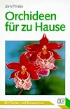 Orchideen für zu Hause