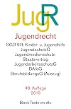 Jugendrecht JugR (dtv Beck Texte)