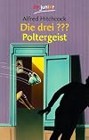 Die drei Fragezeichen und . . ., Poltergeist