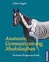Anatomie, Gymnastizierung, Muskelaufbau