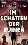 Im Schatten der Ruinen: Thriller