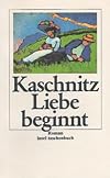 Liebe beginnt: Roman (insel taschenbuch)