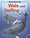 Erstes Wissen, Wale und Delfine