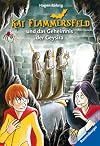 Kai Flammersfeld und das Geheimnis der Geysira